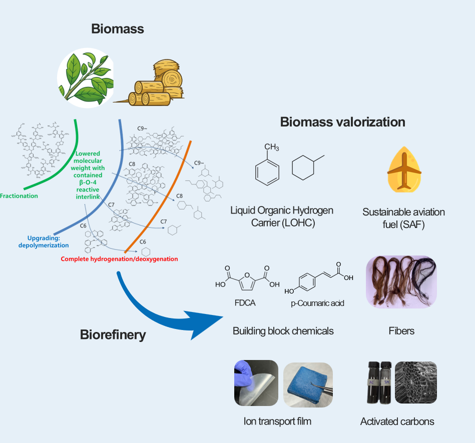 Biorefinery process scheme